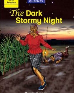 The Dark Stormy Night